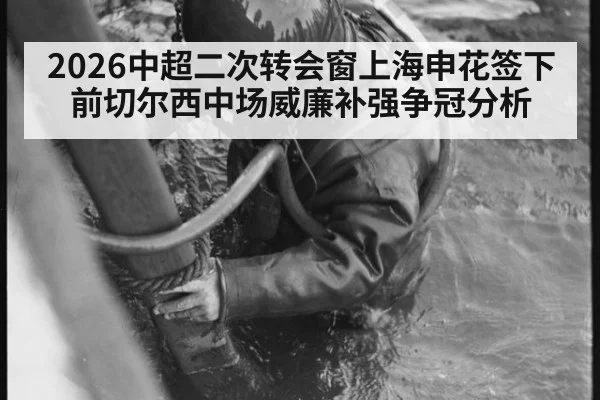 2026中超二次转会窗上海申花签下前切尔西中场威廉补强争冠分析